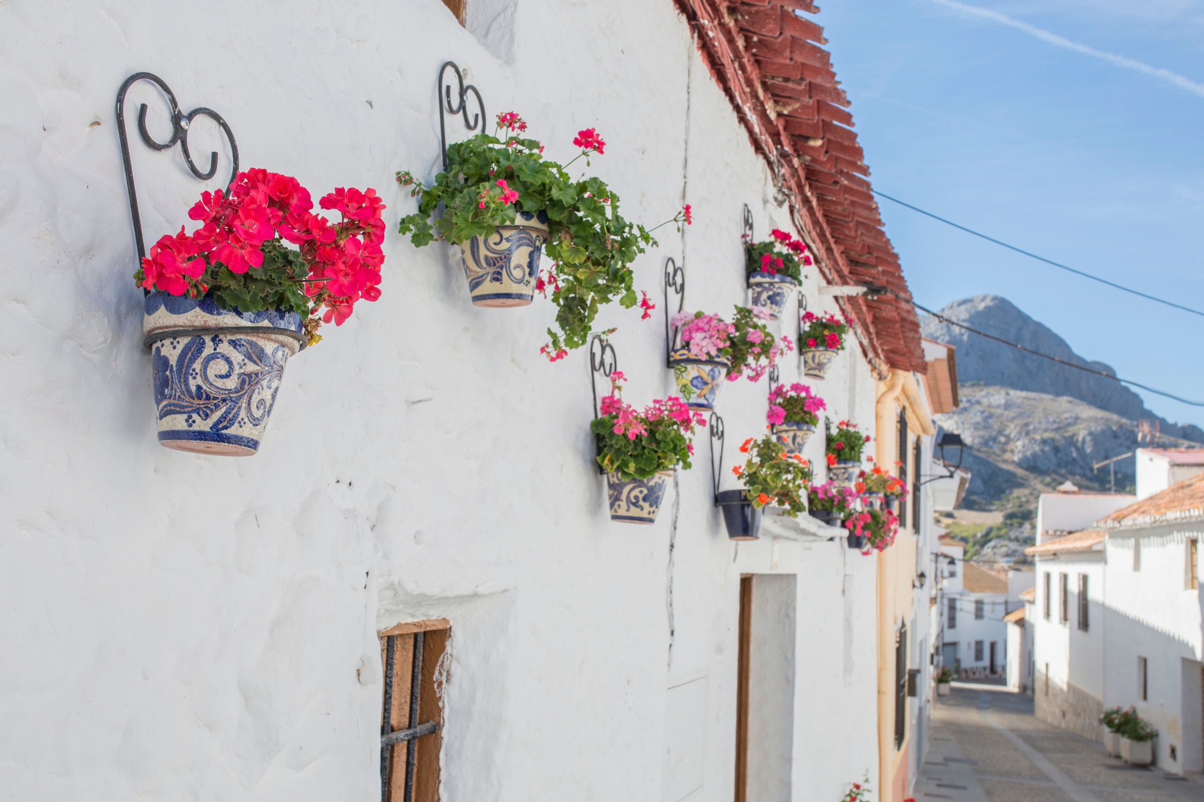 alfarnatejo (3).webp